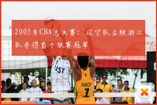 2005年CBA总决赛:辽宁队击败浙江队夺得首个联赛冠军