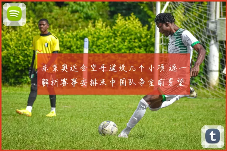 东京奥运会空手道设几个小项 逐一解析赛事安排及中国队争金前景望