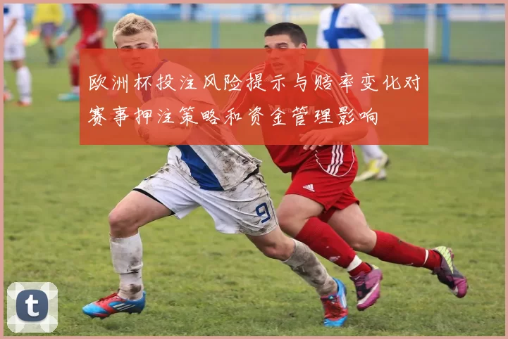 欧洲杯投注风险提示与赔率变化对赛事押注策略和资金管理影响