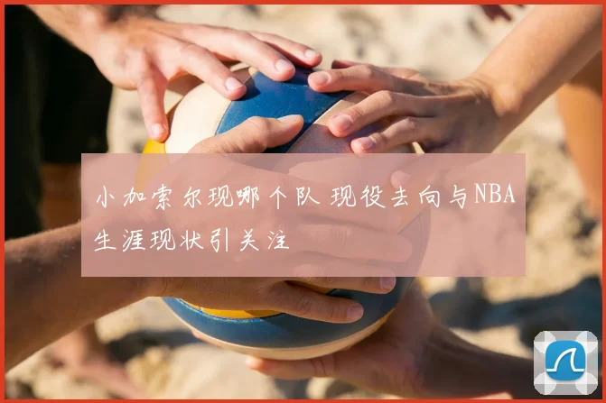 小加索尔现哪个队 现役去向与NBA生涯现状引关注